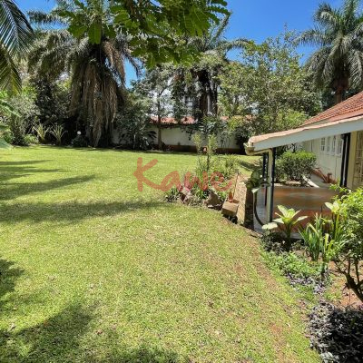 4 bedroom house for rent in Kololo Kampala