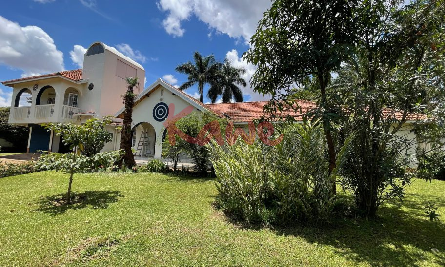 Charming house for rent in Kololo Kampala Kawe Realtors