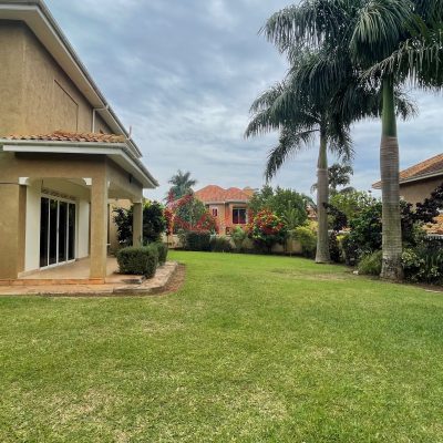 Houses for rent in Muyenga Kampala