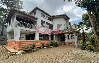 Office Space for rent in Kololo Kampala