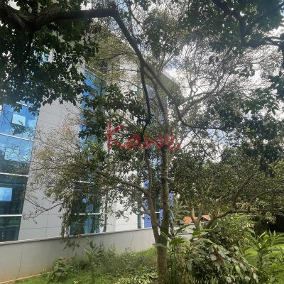 LAND FOR SALE IN Nakasero kampala