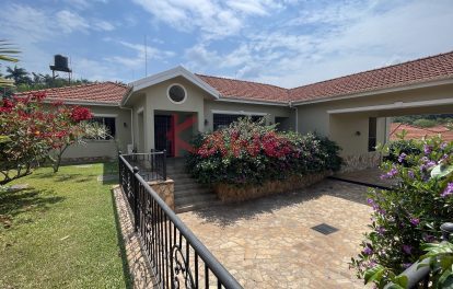 Stunning House for rent in Naguru Kampala