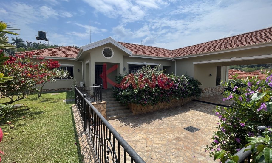 Stunning House for rent in Naguru Kampala