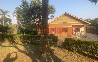 Plot Land for Sale in Bukoto Kampala