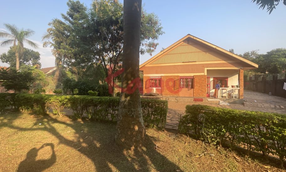 Plot Land for Sale in Bukoto Kampala