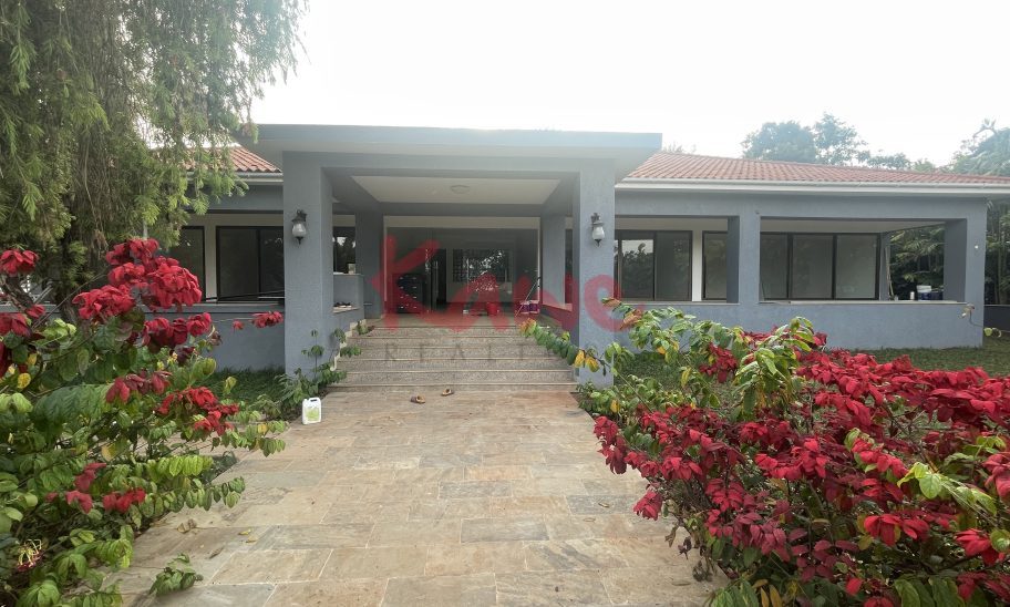 Office Space for Rent in Kololo Kampala
