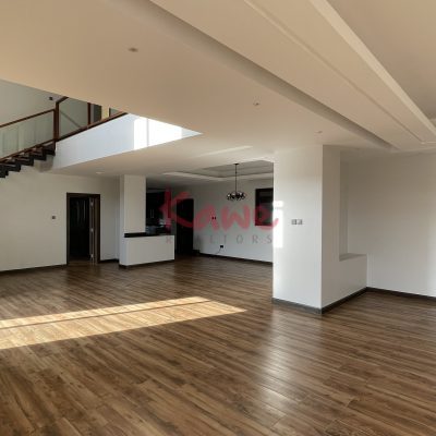 Penthouse for rent in Kololo Kampala