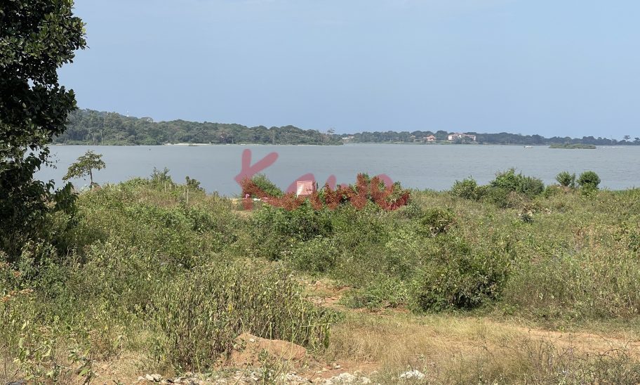 Lakeside Land for sale in Nkumba Entebbe