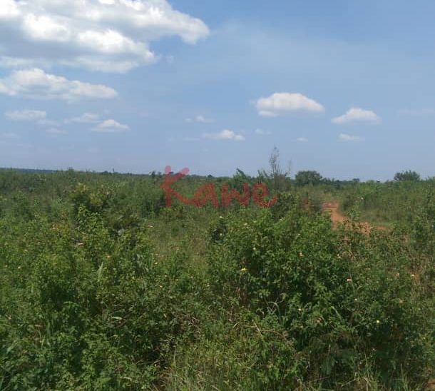 Farm Land For Sale In Zirobwe Luwero Kawe Realtors
