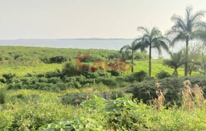 Land for Sale in Kigo Munyonyo