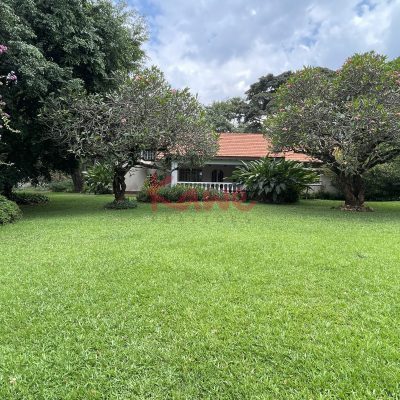 House For rent in Kololo Kampala
