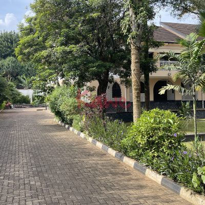 House for rent in Bugolobi Kampala with a Swimming Pool