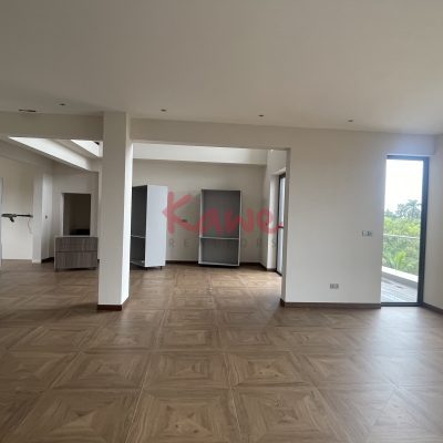 Luxury Penthouse For Rent in Bugolobi Kampala