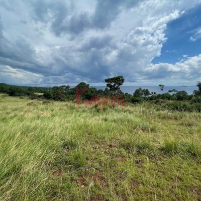Land at Nsadzi Island on Lake Victoria for sale