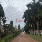 4 Acres Land for sale in Kololo Kampala