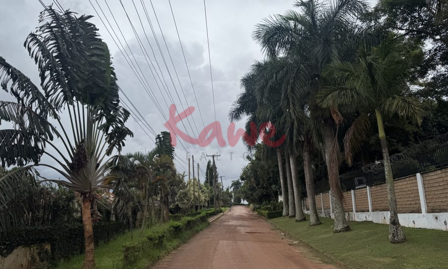 4 Acres Land for sale in Kololo Kampala