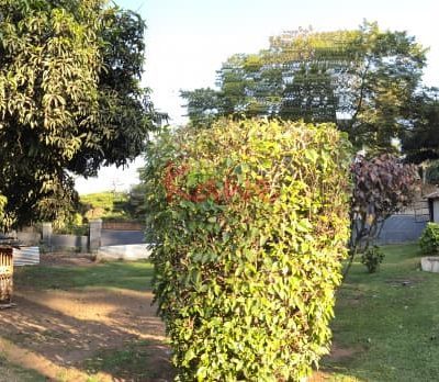 Prime Land for sale in Nakasero Kampala