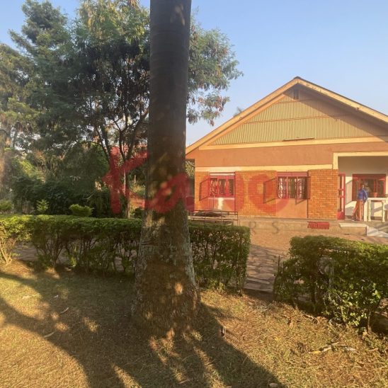 Plot Land for Sale in Bukoto Kampala