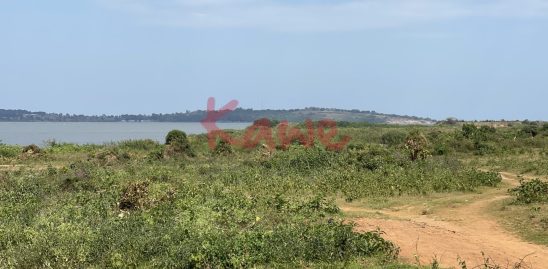 Waterfront land for sale in Nkumba Entebbe touching lake Victoria